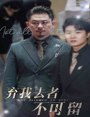 弃我去者不可留(60集) 弃我去者不可留(60集)热门短剧推广