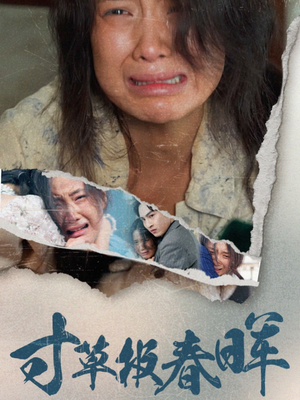 寸草报春晖(65集) 寸草报春晖(65集)看到了大结局