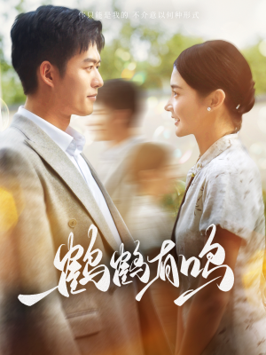 鹤鹤有鸣（87集）最火爆短剧