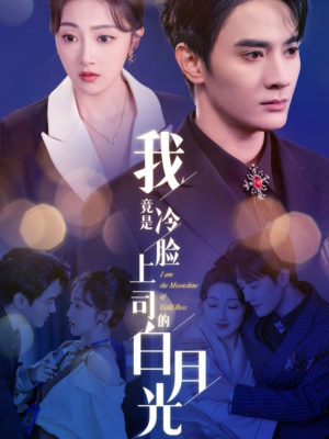我竟是冷脸上司的白月光（80集）分享热门短剧