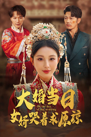 大婚当日，女婿哭着求原谅（31集）夸克网盘在线看