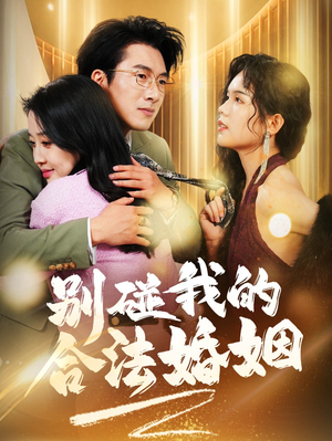 别碰我的合法婚姻（30集）免费看