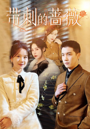 带刺的蔷薇(50集) 带刺的蔷薇(50集)第三季