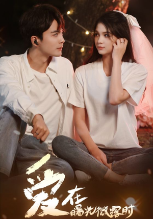 爱在曙光微露时(49集) 爱在曙光微露时(49集)追短剧看全集