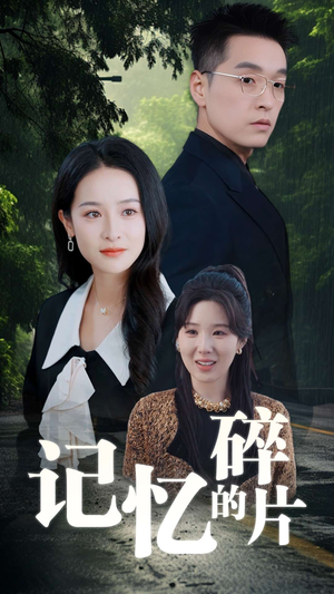 记忆的碎片(50集) 记忆的碎片(50集)百度网盘在线看