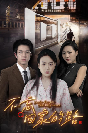 不忘回家的路（61集）更新时间