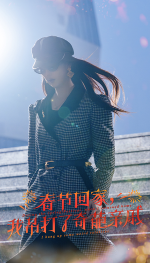 春节回家,我吊打了奇葩亲戚(30集) 春节回家,我吊打了奇葩亲戚(30集)百度网盘在线看