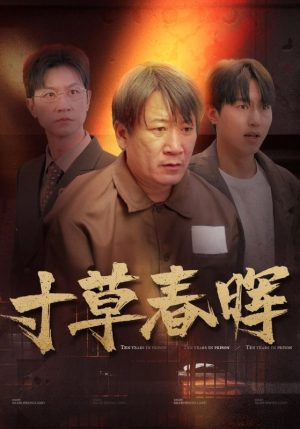 寸草春晖（31集）追风的女孩短剧