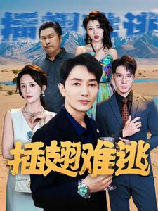 插翅难逃（43集）我全都看完了