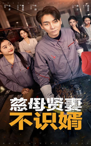 慈母贤妻不识婿（45集）短剧解说热门