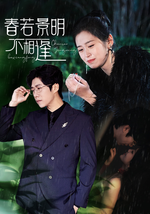 春若景明不相逢（50集）在哪里可以全集