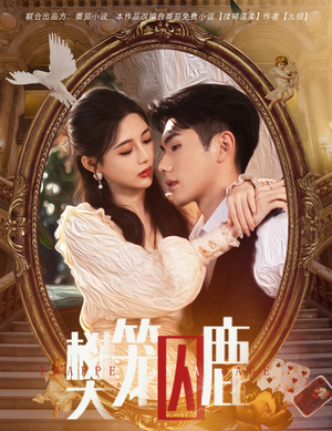 樊笼囚鹿（60集）爱上了这部剧了