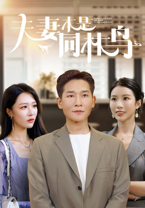 夫妻本是同林鸟(76集) 夫妻本是同林鸟(76集)火爆短剧来袭