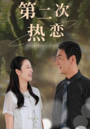 第二次热恋(48集) 第二次热恋(48集)夸克在线观看