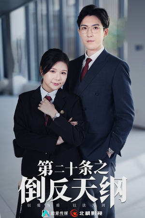 第二十条之倒反天纲(60集) 第二十条之倒反天纲(60集)直接看到大结局