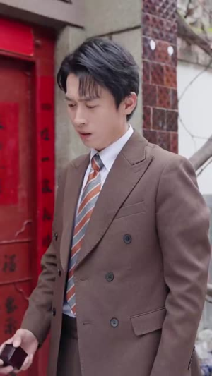 功成名就后,我回乡光耀师门(32集) 功成名就后,我回乡光耀师门(32集)在线看完整版