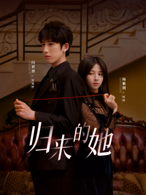 归来的她（80集）热门短剧榜单