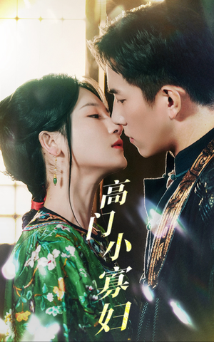 高门小寡妇(60集) 高门小寡妇(60集)短剧解说热门