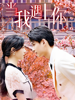 当我遇上你(100集) 当我遇上你(100集)全集