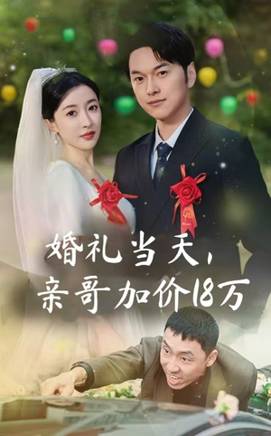 婚礼当天,亲哥加价18万(36集) 婚礼当天,亲哥加价18万(36集)全集一网打尽