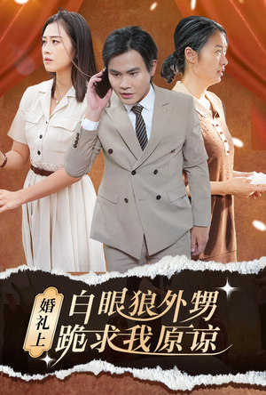 婚礼上白眼狼外甥跪求我原谅（35集）免费看全网短剧