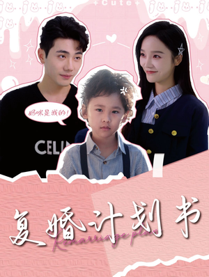 复婚计划书(96集) 复婚计划书(96集)免费短剧看全集