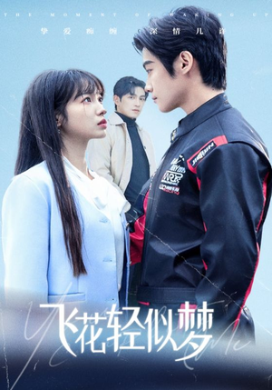 飞花轻似梦(37集) 飞花轻似梦(37集)大结局一气呵成