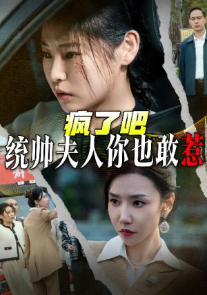 疯了吧统帅夫人你也敢惹(33集) 疯了吧统帅夫人你也敢惹(33集)好看的短剧电影