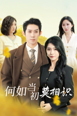 何如当初莫相识（36集）好看吗