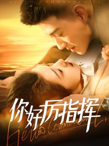 你好厉指挥(100集) 你好厉指挥(100集)热门短剧榜单