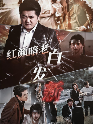 红颜暗老白发新（56集）1-102集