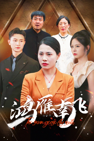 鸿雁南飞（64集）古代短剧推荐