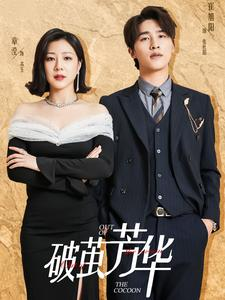 破茧芳华（80集）在哪里可以看