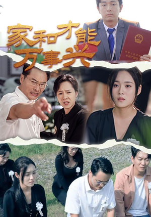 家和才能万事兴（30集）网络小短剧