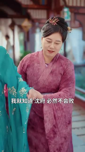 锦墨风华（100集）不用花钱看全剧