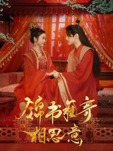 锦书难寄相思意(97集) 锦书难寄相思意(97集)大结局