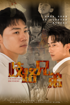 歧路兄弟(63集) 歧路兄弟(63集)红果免费看短剧