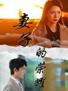 妻子的荣耀(40集) 妻子的荣耀(40集)短剧全集大结局