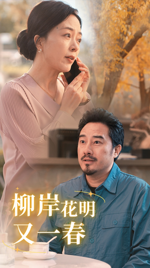 柳暗花明又一春(40集) 柳暗花明又一春(40集)免费短剧大全