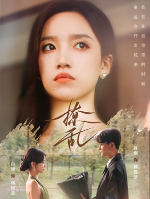 撩乱（65集）短剧完整版免费