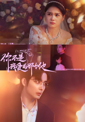 你不是我爱的那个他（54集）全集免费观看