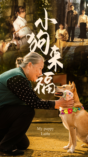 小狗来福(30集) 小狗来福(30集)穿越短剧推荐