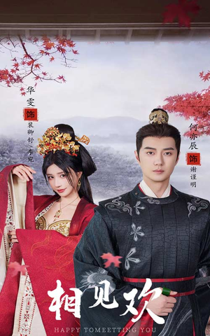 相见欢(61集) 相见欢(61集)解说