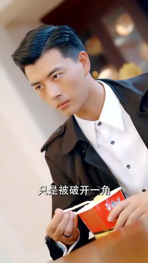 杏林逸韵(100集) 杏林逸韵(100集)精彩热门短剧