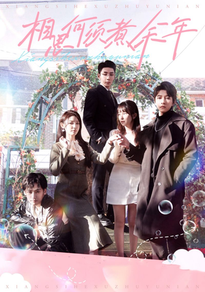 相思何须煮余年(33集) 相思何须煮余年(33集)全集一次看完