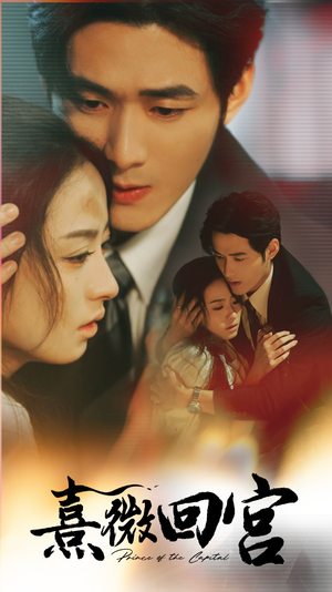 熹微回宫(61集) 熹微回宫(61集)演员表