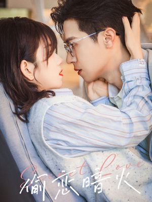 偷恋暗火（90集）海量资源免费看