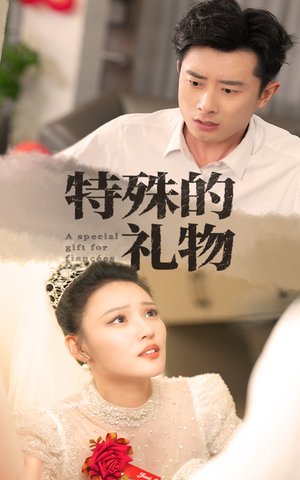 特殊的礼物（35集）评价怎么样