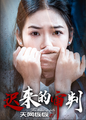 天网恢恢之迟来的审判（31集）短剧推荐来了