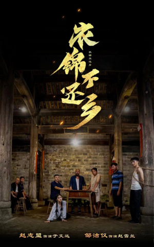 衣锦不还乡(69集) 衣锦不还乡(69集)在线免费观影